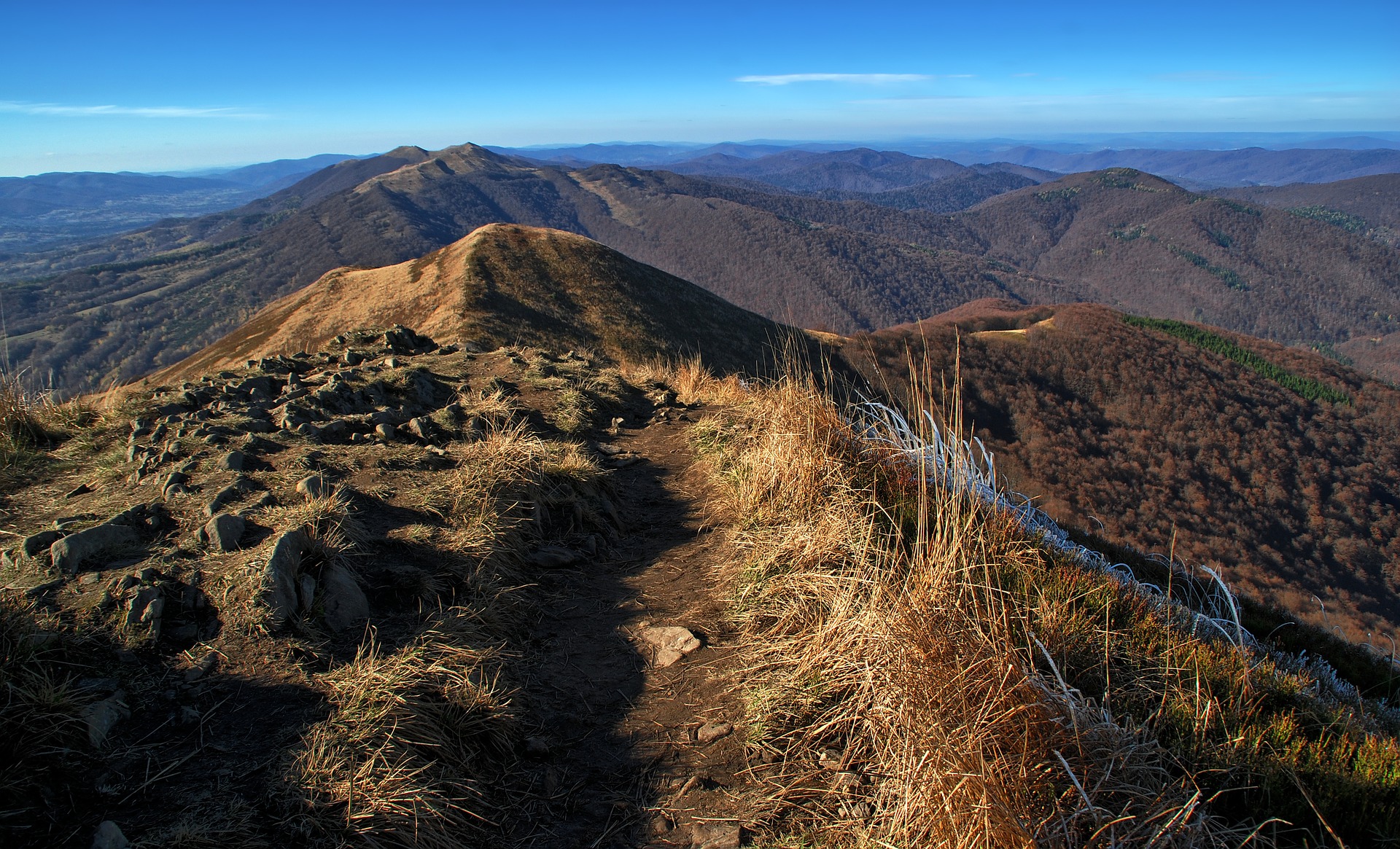 Bieszczady wycieczki